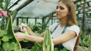 Dosage du glyphosate pour 10 litres d’eau