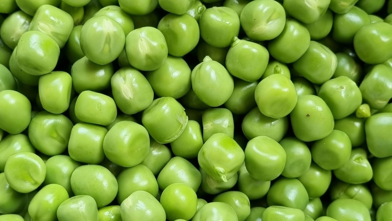 Congeler des petits pois frais