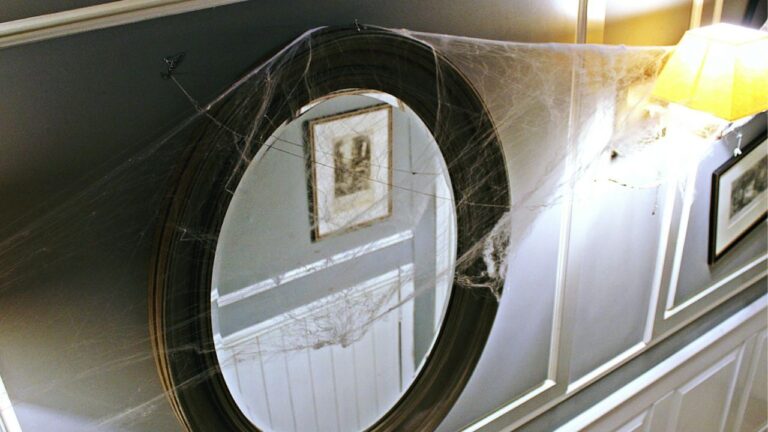 Nid d’araignée dans la maison