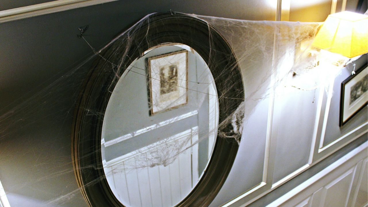 Nid d’araignée dans la maison